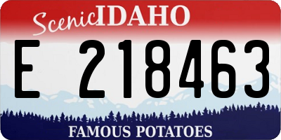 ID license plate E218463