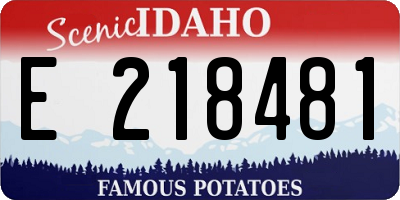 ID license plate E218481