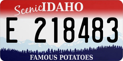 ID license plate E218483