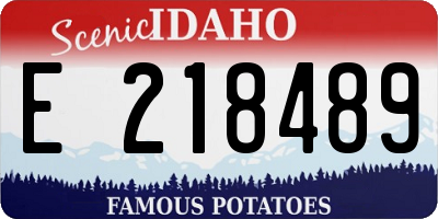 ID license plate E218489