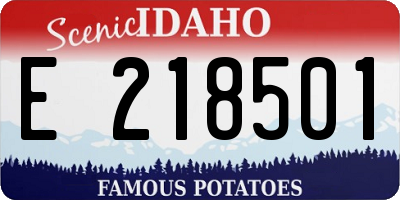 ID license plate E218501