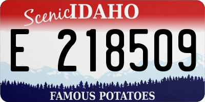 ID license plate E218509