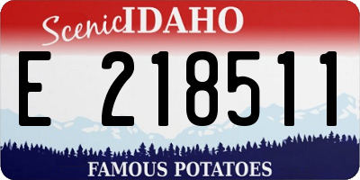 ID license plate E218511