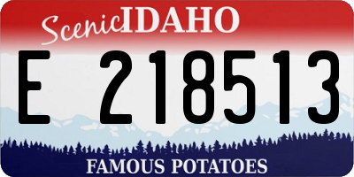 ID license plate E218513