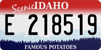 ID license plate E218519