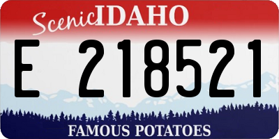 ID license plate E218521