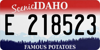 ID license plate E218523