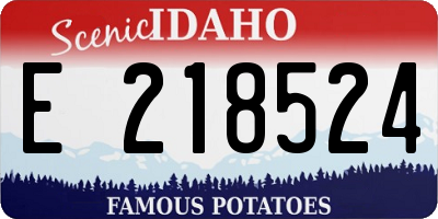 ID license plate E218524