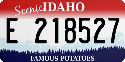 ID license plate E218527