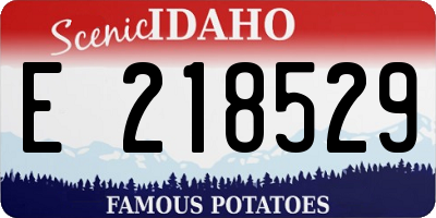 ID license plate E218529