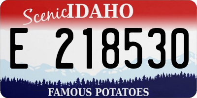 ID license plate E218530