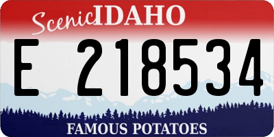 ID license plate E218534