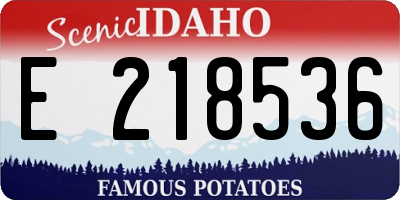 ID license plate E218536