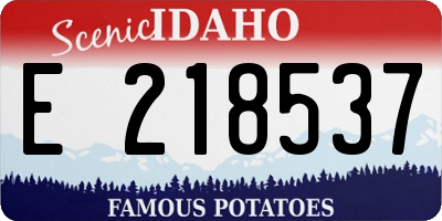 ID license plate E218537