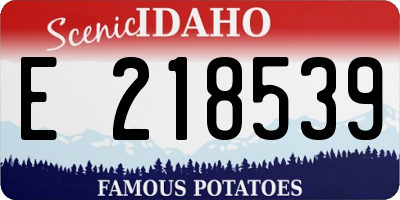 ID license plate E218539