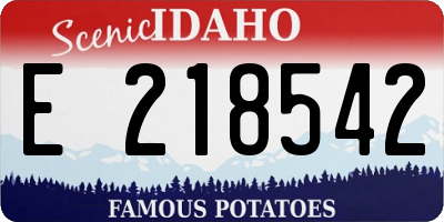 ID license plate E218542