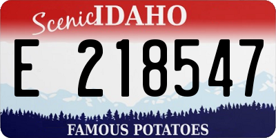 ID license plate E218547
