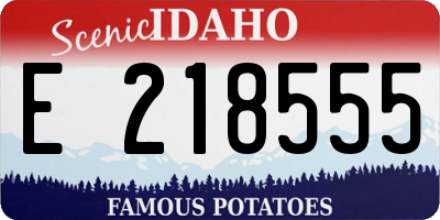 ID license plate E218555