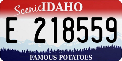 ID license plate E218559