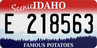 ID license plate E218563