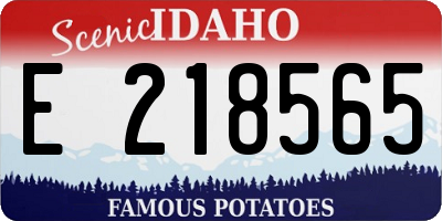 ID license plate E218565