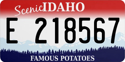 ID license plate E218567
