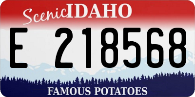 ID license plate E218568