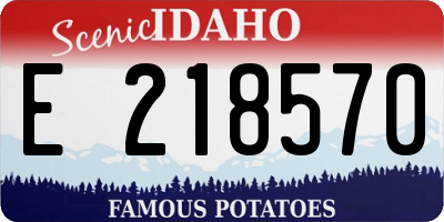 ID license plate E218570