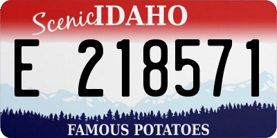 ID license plate E218571