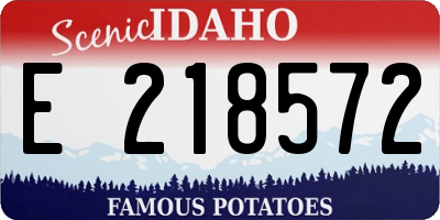 ID license plate E218572