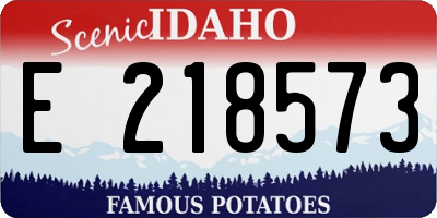 ID license plate E218573