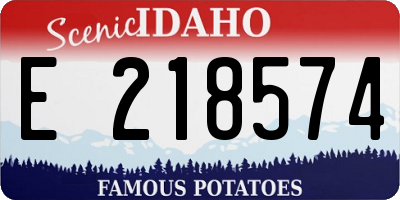ID license plate E218574