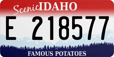 ID license plate E218577