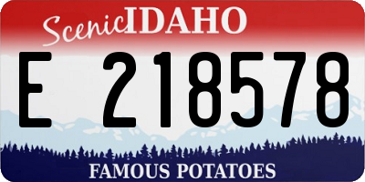 ID license plate E218578