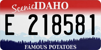 ID license plate E218581