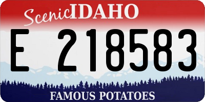ID license plate E218583