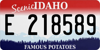 ID license plate E218589