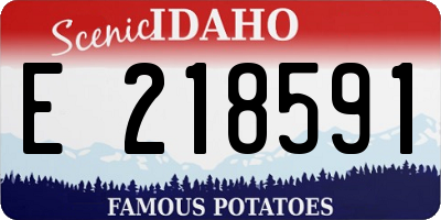 ID license plate E218591
