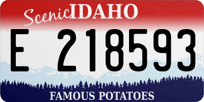 ID license plate E218593