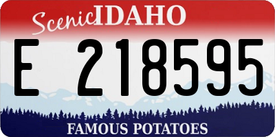 ID license plate E218595
