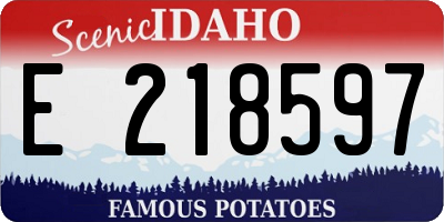 ID license plate E218597
