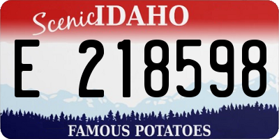 ID license plate E218598
