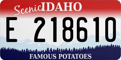 ID license plate E218610