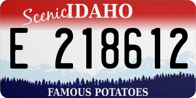 ID license plate E218612