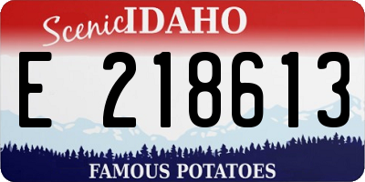 ID license plate E218613
