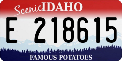ID license plate E218615