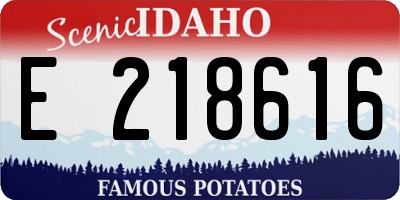 ID license plate E218616