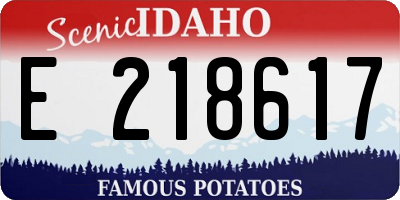 ID license plate E218617