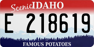 ID license plate E218619