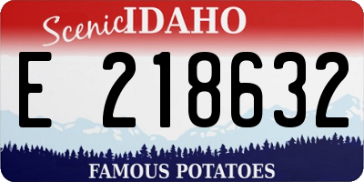 ID license plate E218632